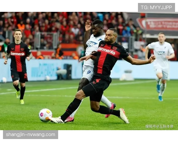 长期伤号复出即献助攻 成为霍芬海姆本轮德甲抢分关键手